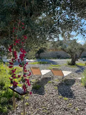 two picnic tables and a tree with red flowers at Anasa Rustic Villa in Kolimbia