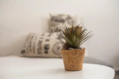 a potted plant sitting on a table next to a bed at Filoxenia house in Kremasti
