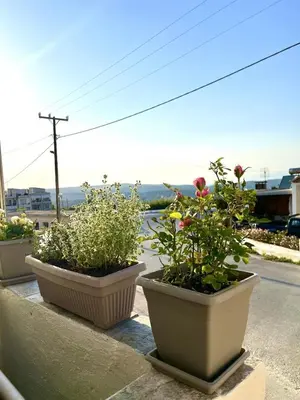three potted plants are sitting on a ledge at Trachos Traditional House in Sálakos