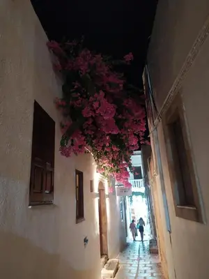 an alley with pink flowers hanging from a building at Mary's house Lindos in Líndos