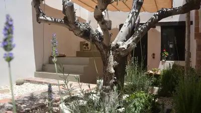 a tree in a garden in front of a house at Kókkini Porta Rossa in Rhodes Town