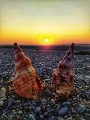 Gallery image of Golden Sand 2 in Ialyssos