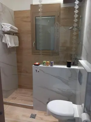 a bathroom with a white toilet and a shower at Alexa Luxury Suites in Afantou