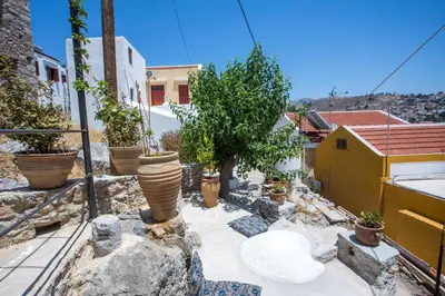 a garden with potted plants and trees on a street at kalosymi studio, Symi in Symi