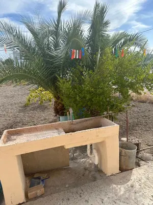 a concrete bench with a potted tree in it at KakLeCharaki in Haraki