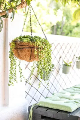 a hanging basket with plants in it hanging from a fence at CasaVerde Central Apartment in Rhodes Town