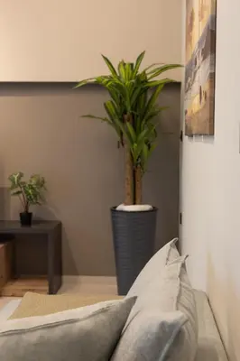 a plant in a vase in a bedroom at Kallithea Blue in Koskinou
