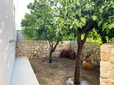 two trees in a yard next to a stone wall at ELÉNAS slow living villa in Faliraki