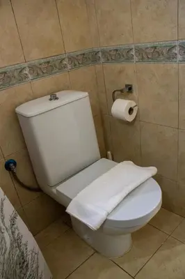 a white toilet in a bathroom with a roll of toilet paper at Ismini Basement Retreat in vlicha