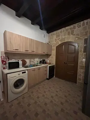 a kitchen with a washing machine and a microwave at Zoe House-Old Town in Rhodes Town