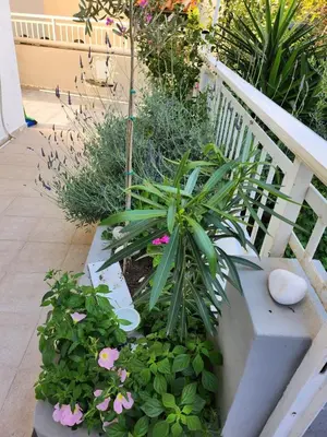 a garden with pink flowers and a white railing at House ROSI in Rodos city in Rhodes Town