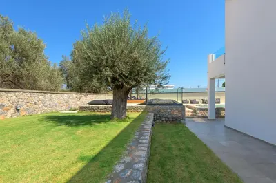 a tree in a yard next to a stone wall at Villa Lambis Harmonia in Líndos