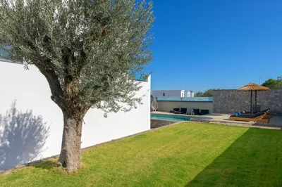 a tree in the yard of a house at Villa Lambis Athena in Líndos