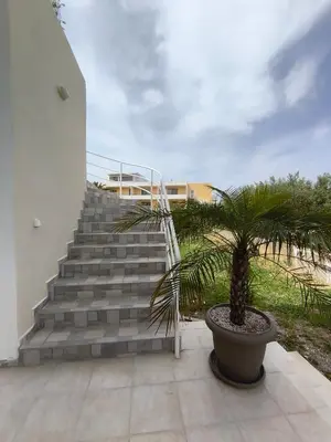 a palm tree in a pot next to a staircase at kiki and cocos beach house in Theologos