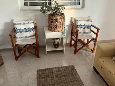 a living room with two chairs and a plant on a table at Feraklion House in Haraki