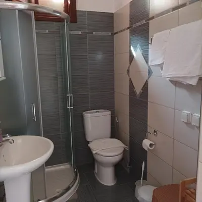 a bathroom with a toilet and a sink at Pedi Breeze in Symi