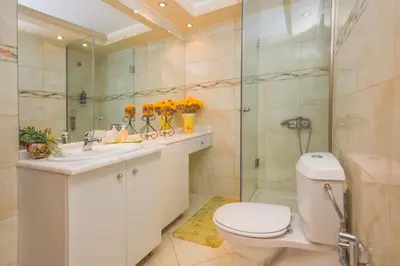 a bathroom with a toilet and a sink and a shower at Sea View-Sunset View Apartments in Ixia