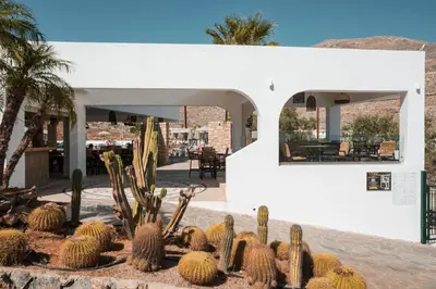 a group of cacti in front of a building at 'Lindian Myth' Sea View Studios in Líndos