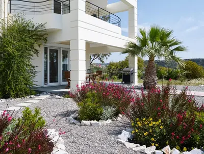 a house with a palm tree and flowers at Andrealexia Sea View Villa in Kalithies