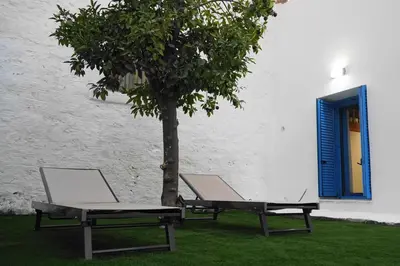two benches sitting next to a tree next to a building at Diolanth traditional house in Koskinou