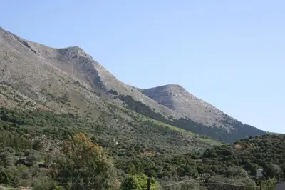 a view of a mountain with trees on it at Rustic House Smaro in Émbonas