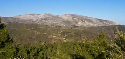 a mountain with trees and mountains in the background at Rustic House Smaro in Émbonas