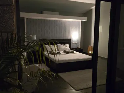 a bedroom with a bed and a plant at Villa Aurelia Privat Pool in Kolimbia