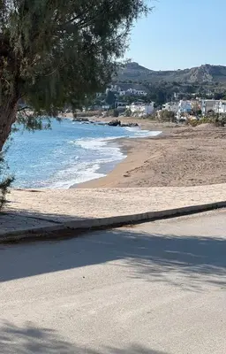 a view of a beach with a tree and the ocean at Álas Holiday Home in Archangelos