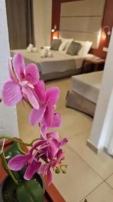 a vase filled with purple flowers in a room at Atlantis Boutique ΑΝΝΕX in Rhodes Town