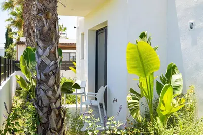 a palm tree in front of a house with plants at Villa Palm Vista by Villa Plus in Kremasti