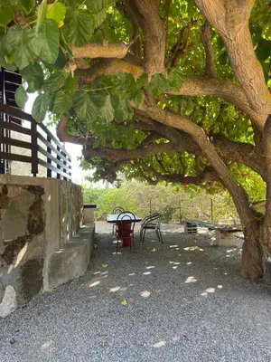 a table and chairs sitting under a tree at Thomas house in Archangelos