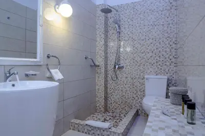 a bathroom with a shower and a toilet and a sink at Villa Skiadeni in Halki