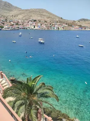 a view of a large body of water with a palm tree at Villa Skiadeni in Halki