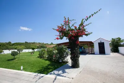 a tree with flowers on it in a yard at Villa Nefeli in Kiotari