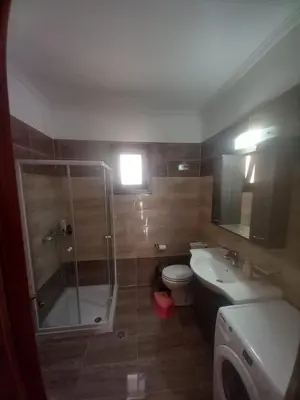 a bathroom with a shower and a toilet and a sink at Damian House in Afantou