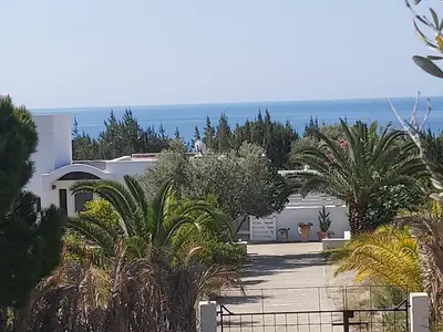 a view of a house with palm trees and the ocean at Villa Chevalier in Kiotari