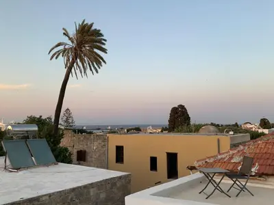 a palm tree sitting on the roof of a house at Old Town Retreat in Rhodes Town