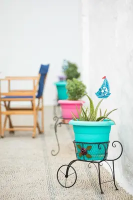 a group of potted plants on a stand in a room at Vassos Apartments in Líndos