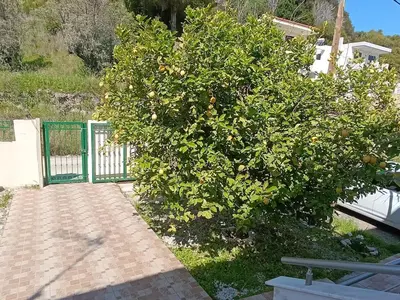 a tree with oranges on it next to a fence at Villa Klelia in Afantou