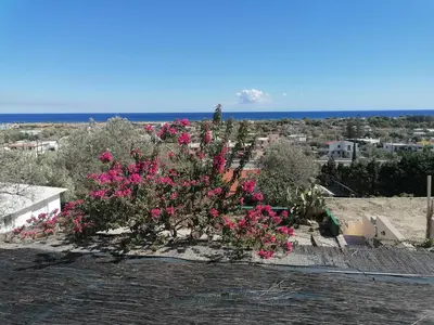 a bush with pink flowers on top of a building at Villa Klelia in Afantou