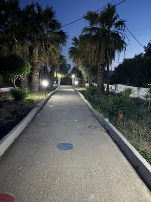 an empty street with palm trees at night at Agathi Beauty Studios in Haraki