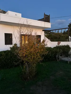 a white house with a tree in front of it at Amphora Sea View Pefkos in Pefki Rhodes