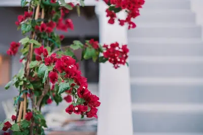 a white pillar with red flowers on it at Nora's ixia summer house in Ialyssos