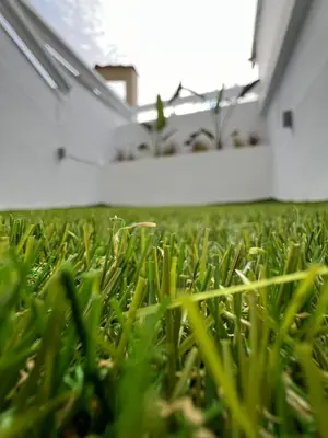 a close up of green grass in a yard at Melograno di Rodi 7 in Rhodes Town