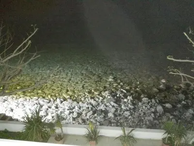 a bunch of rocks and plants in a garden at Villa Amalia in Vrachonisída touArchangélou