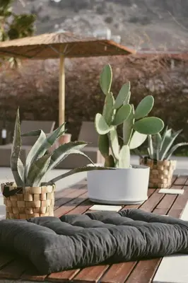 two potted plants on a wooden table with an umbrella at LA Casa Di Lusso Casa N2 Adults Only in Kolimbia
