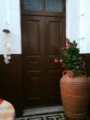 a plant in a pot in front of a door at Villa Elena in Líndos