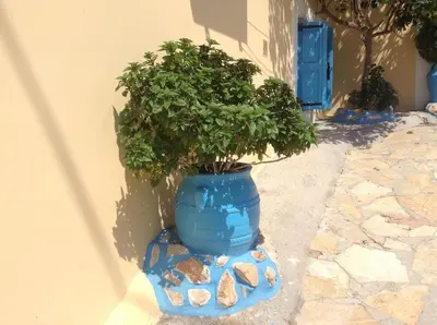 a plant in a blue pot next to a wall at Villa Efraim Amalia in Halki