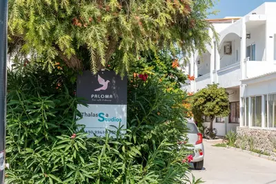 a sign that says phillips studio in front of plants at Paloma Seaesta Cabanas in Rhodes Town