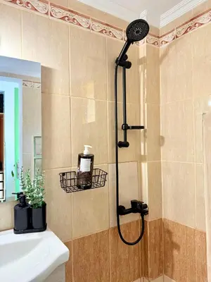 a bathroom with a shower with a shower head at Marine's apartments in Symi